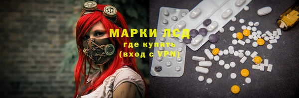 шишки Армянск