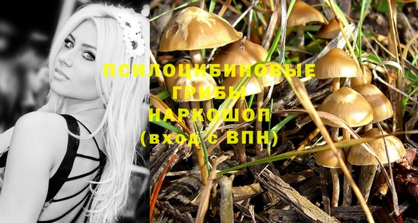шишки Россошь